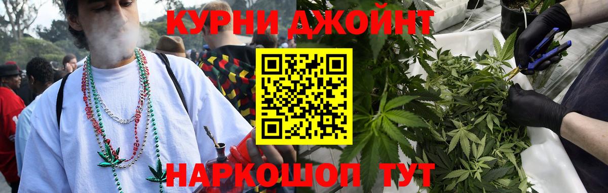 Бошки Шишки план Советск